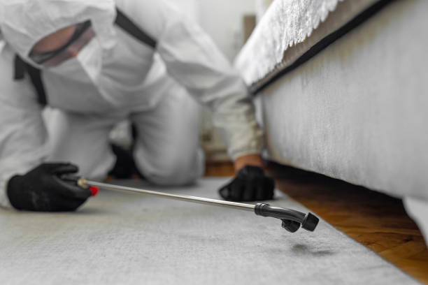 Professional Bed Bug Control technician working in Lake Magdalene, FL
